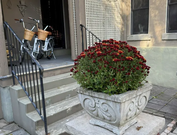 The Stegmaier Guest House hotel detail image 3