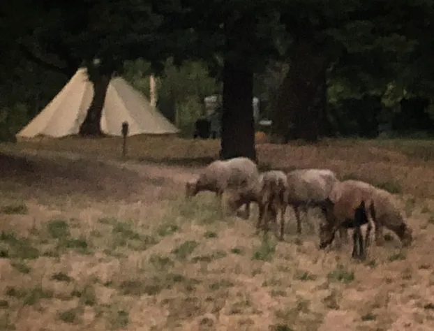 Mendocino Magic hotel detail image 1