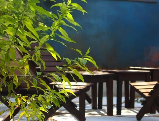 Hotel Alexandria hotel detail image 2