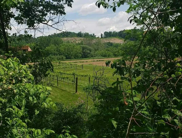The Lodge at Hocking College hotel detail image 4