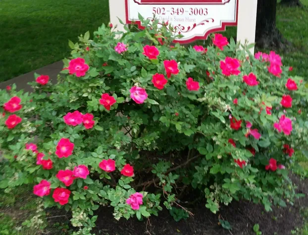 Red Rose Inn Bed & Breakfast hotel detail image 3