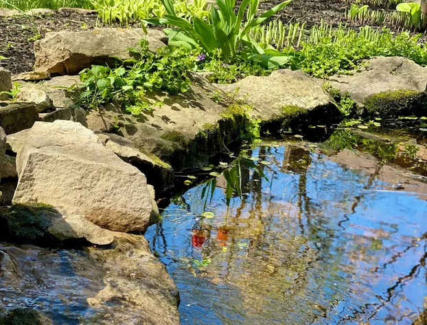 Red Rose Inn Bed & Breakfast hotel detail image 1