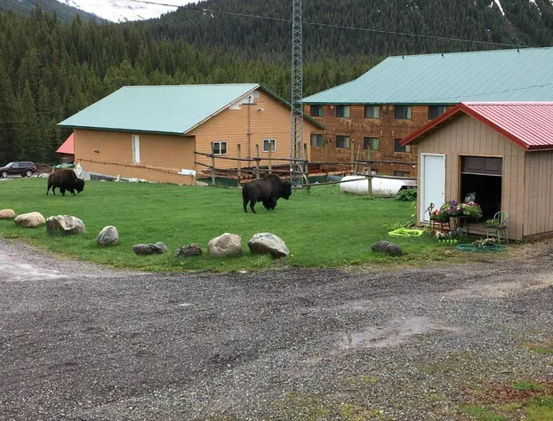 Antlers Lodge hotel detail image 3