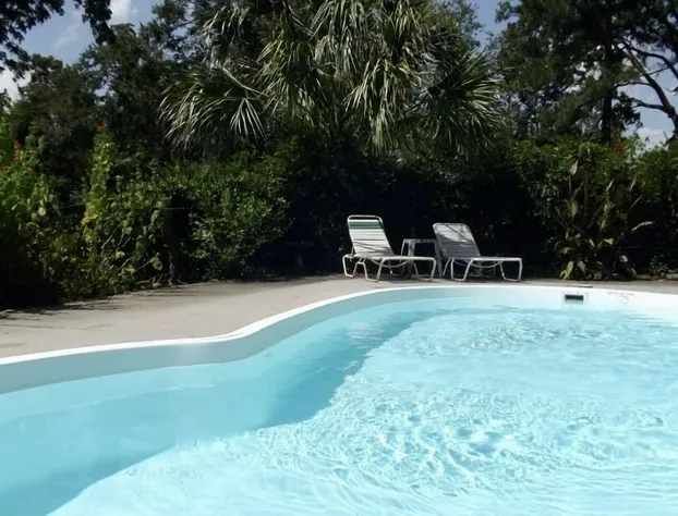 Elloree Bed and Breakfast hotel detail image 1