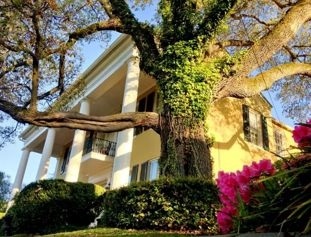 Anchuca Historic Mansion & Inn hotel detail image 3