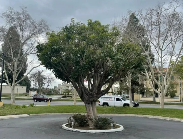 Chino Motel hotel detail image 4