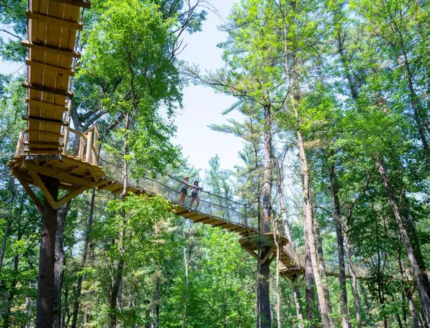 Aloha Beach Resort hotel detail image 1