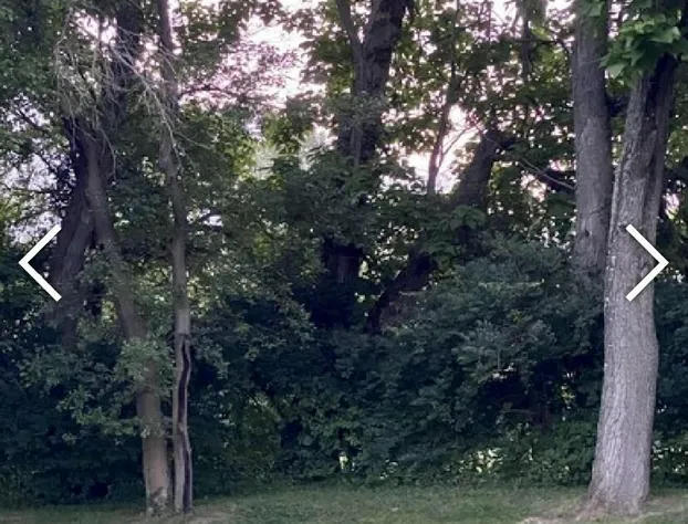 Yellow Springs Motel hotel detail image 4