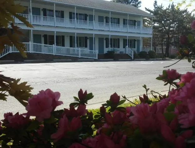 Sea Shell Motel hotel detail image 2