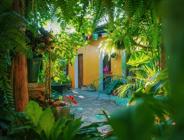 Hotel Las Golondrinas hotel detail image 1