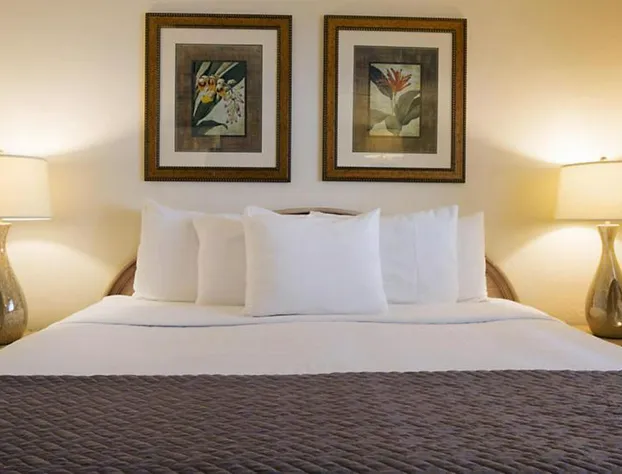 Resort Sixty-Six hotel detail image 3