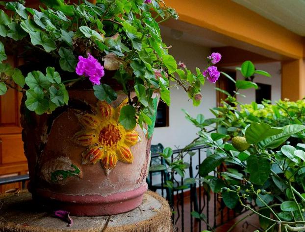 Casablanca Hotel Tula hotel detail image 1