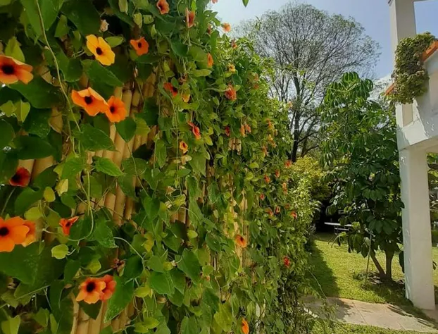 Hotel Posada La Bonita hotel detail image 4