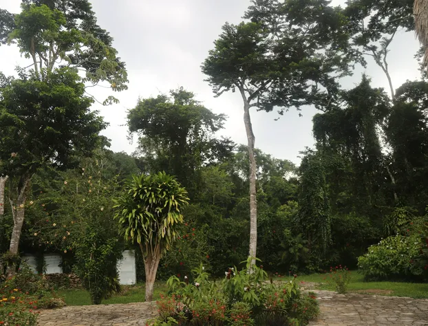 Eco-Hotel Sak Nok hotel detail image 4