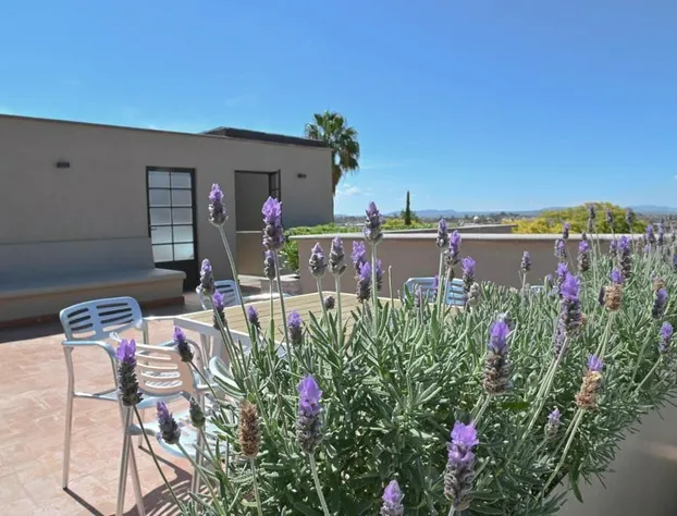 Canela Fina Solo adultos hotel detail image 1