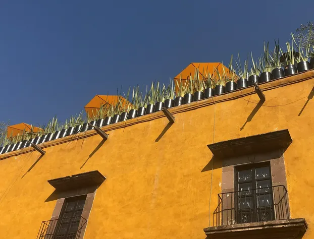 Villa Limon Hotel Boutique hotel detail image 1