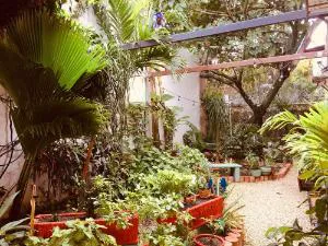 Hotel Casa Pellegrin hotel detail image 1