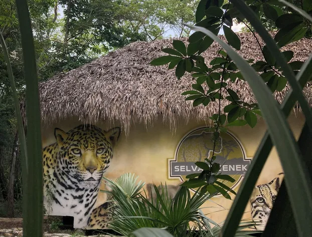 Selva Teenek hotel detail image 4