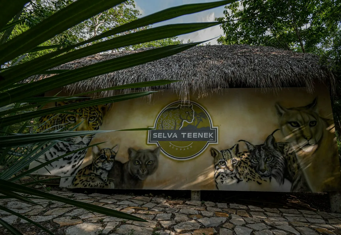 Selva Teenek hotel hero