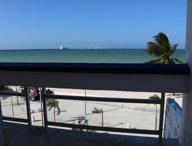 Hotel Tropical Suites hotel detail image 3