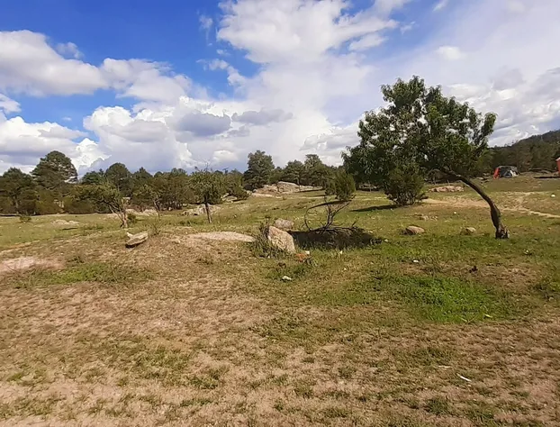 Cabañas Amanda hotel detail image 1
