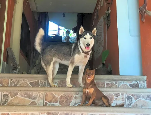 Colibri Hotel hotel detail image 3