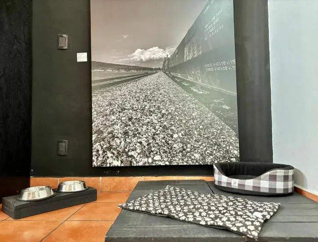 Hotel Boutique Casa Catalá 1921 hotel detail image 4