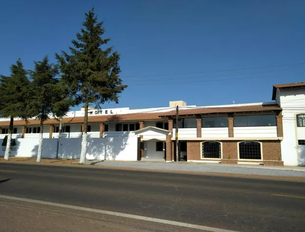 Hotel Los Pinos hotel detail image 1