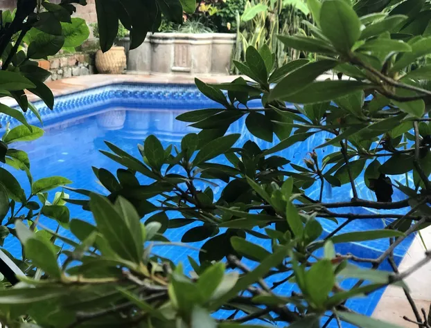 Casa del Sol Inn hotel detail image 2
