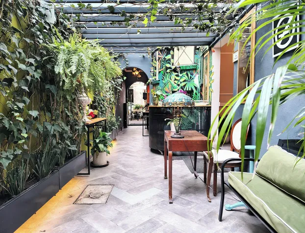 Casa Panuco hotel detail image 1