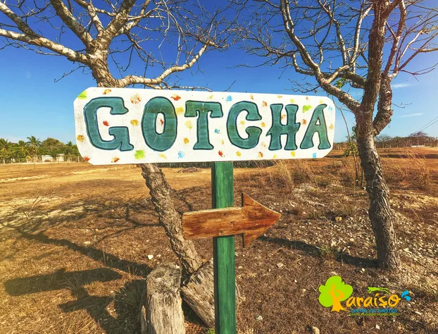 Casa Paraiso Hotel Boutique hotel detail image 3