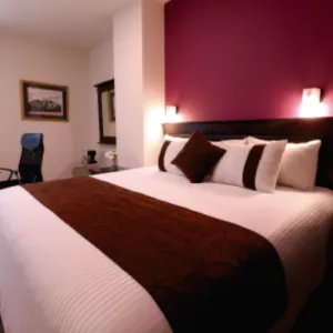 Hotel Misión Monterrey Centro Histórico hotel detail image 3