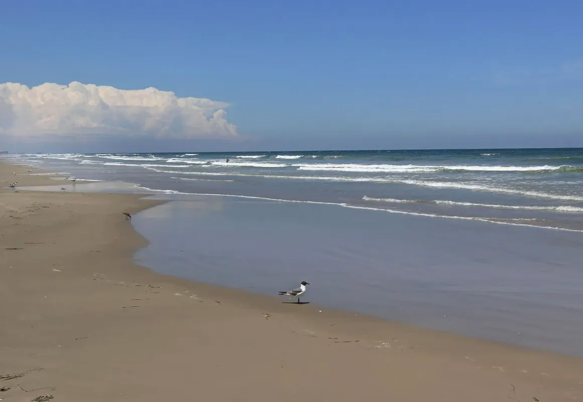 Courtyard #127 1 Bedroom Condo By Redawning hotel hero