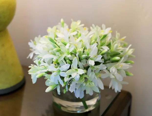 Ritz 3Br Mtn View RRR407 hotel detail image 2