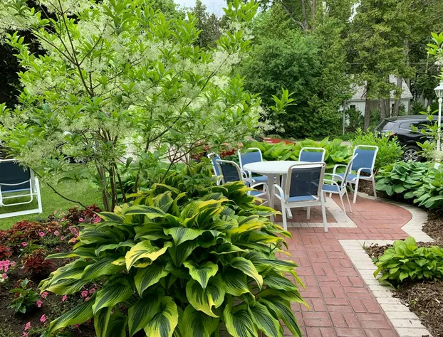 Main Street Motel hotel detail image 3