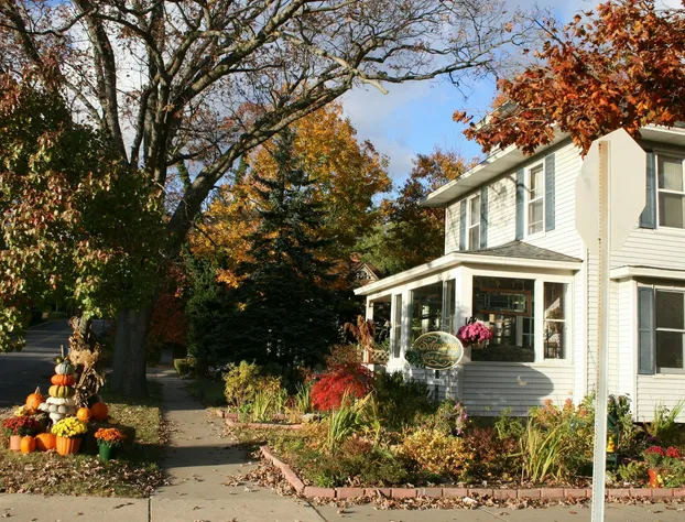 Serendipity Bed and Breakfast hotel detail image 2