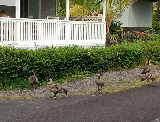 Ocean Breeze Inn hotel detail image 2
