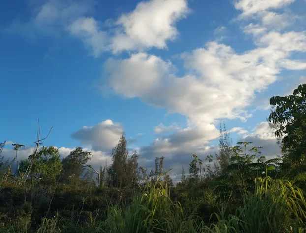 Ocean Breeze Inn hotel detail image 3