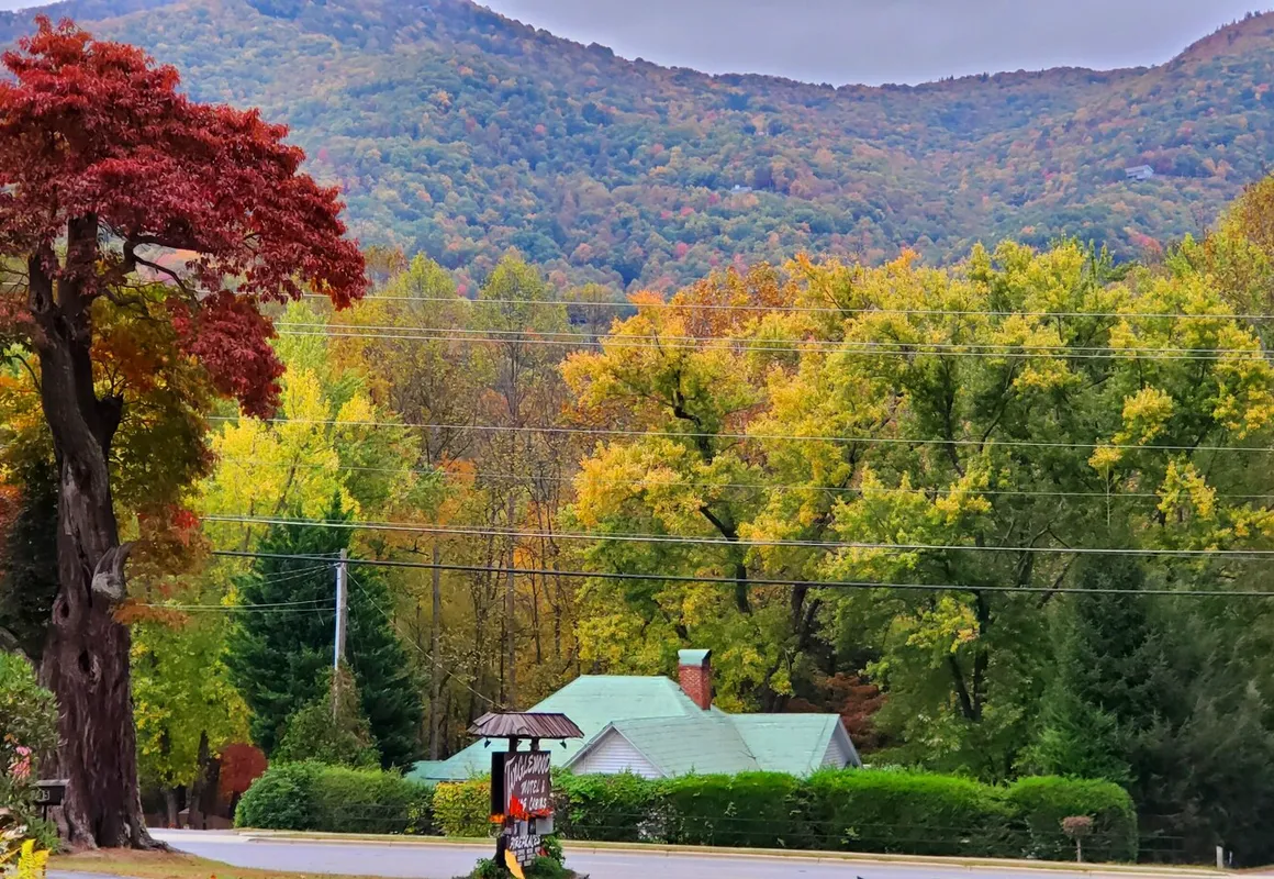 Tanglewood Motel and Log Cabins hotel hero