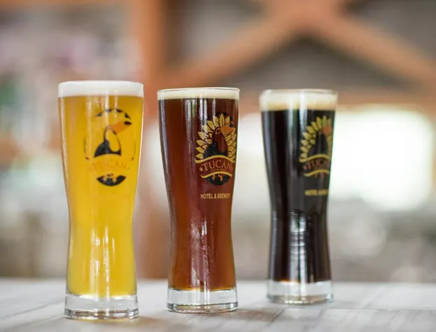 Hotel Palace Inn hotel detail image 2