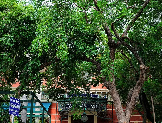 Hotel Boutique Casa San Angel hotel detail image 2