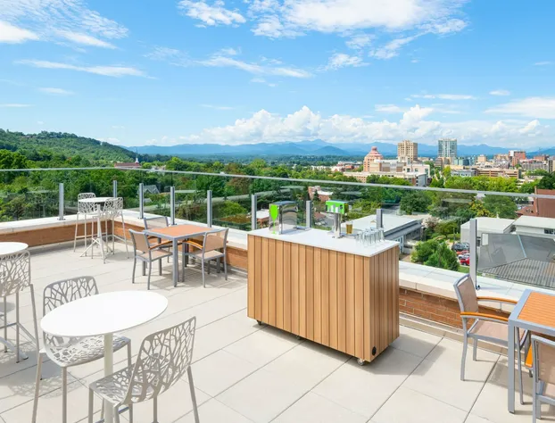 Element Asheville Downtown hotel detail image 4