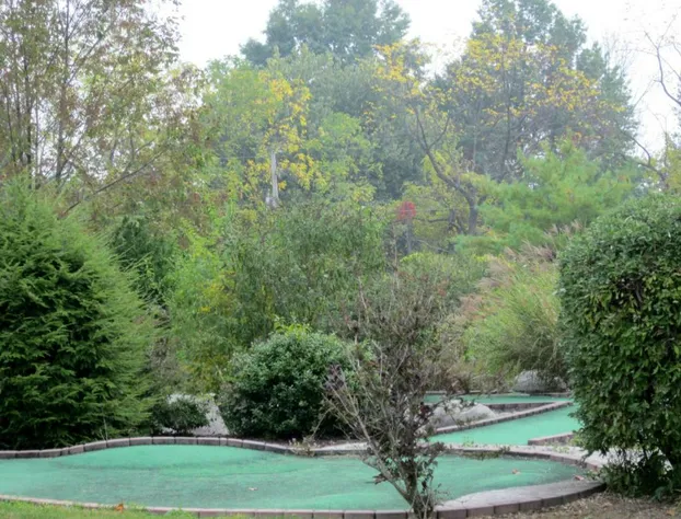 Appalachian Camping Resort Park Model 2 hotel detail image 3