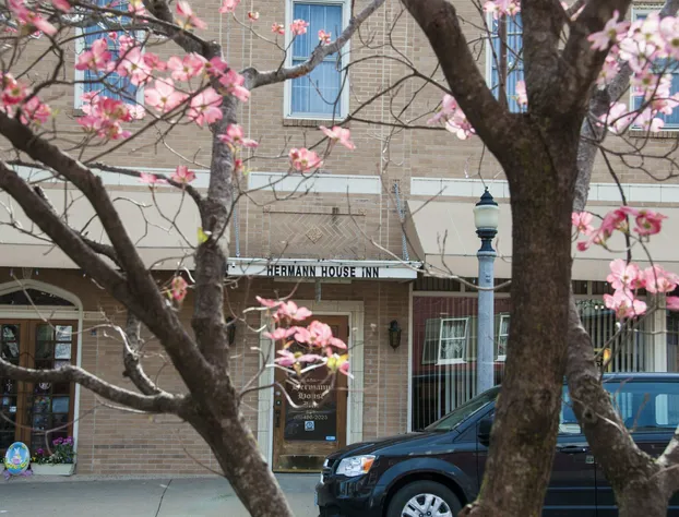 Hermann House hotel detail image 4