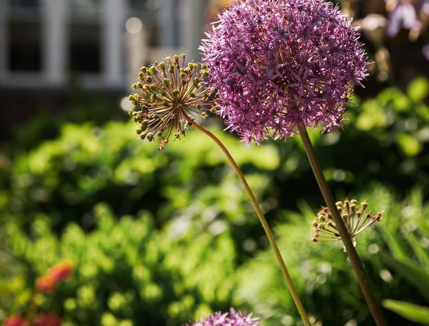 East Bay Bed & Breakfast hotel detail image 3