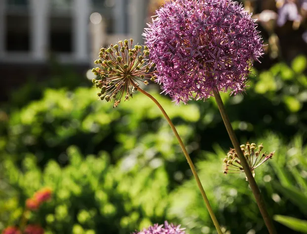 East Bay Bed & Breakfast hotel detail image 3