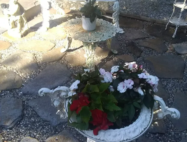 Tanglewood Suites hotel detail image 4