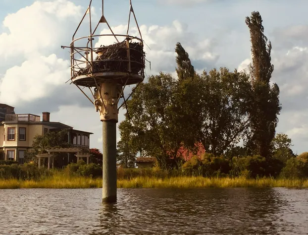 The Whitehaven Hotel hotel detail image 4