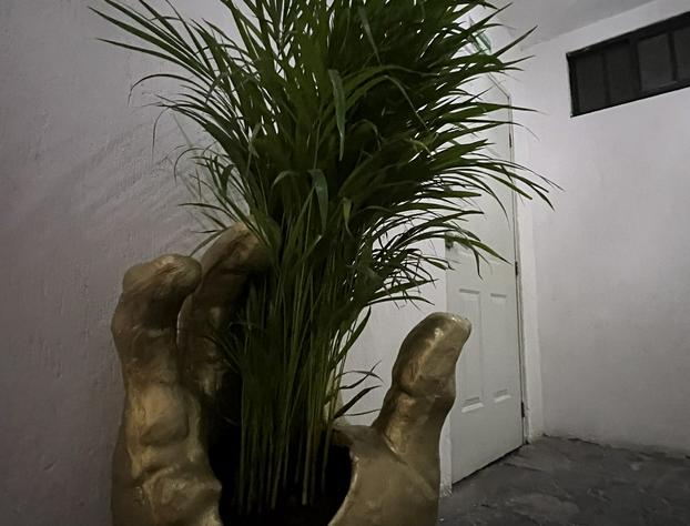 Hotel don bosco hotel detail image 1
