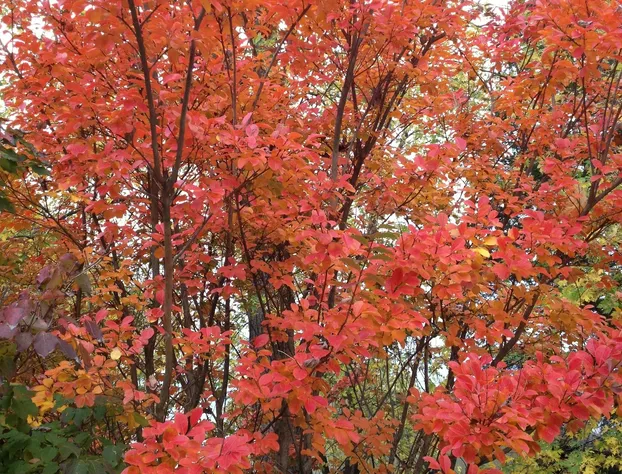 Inn at Horn Point hotel detail image 2